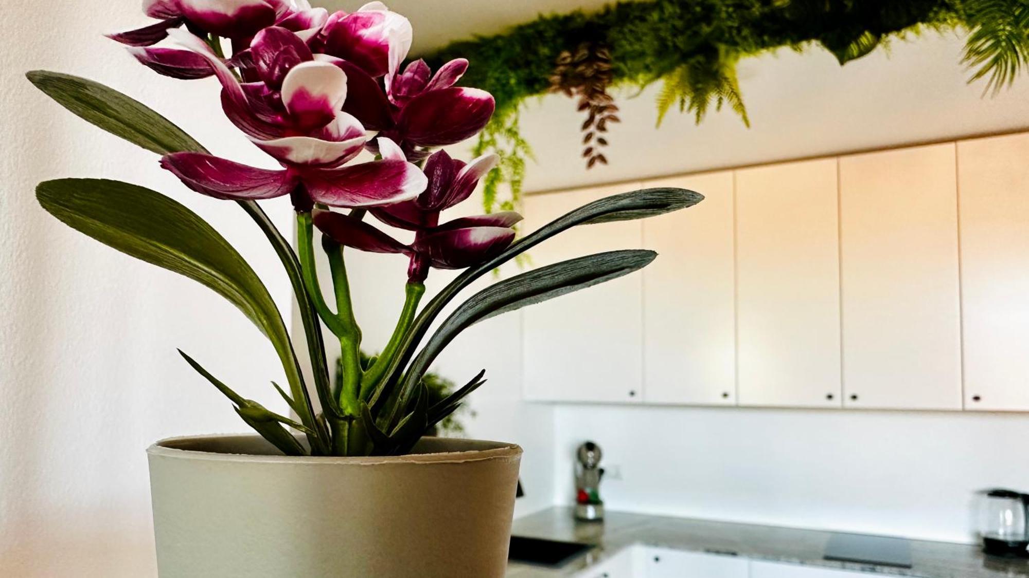 Garden Of Eden Modern Apartments - Apartello,Com Sveti Vlas Bagian luar foto
